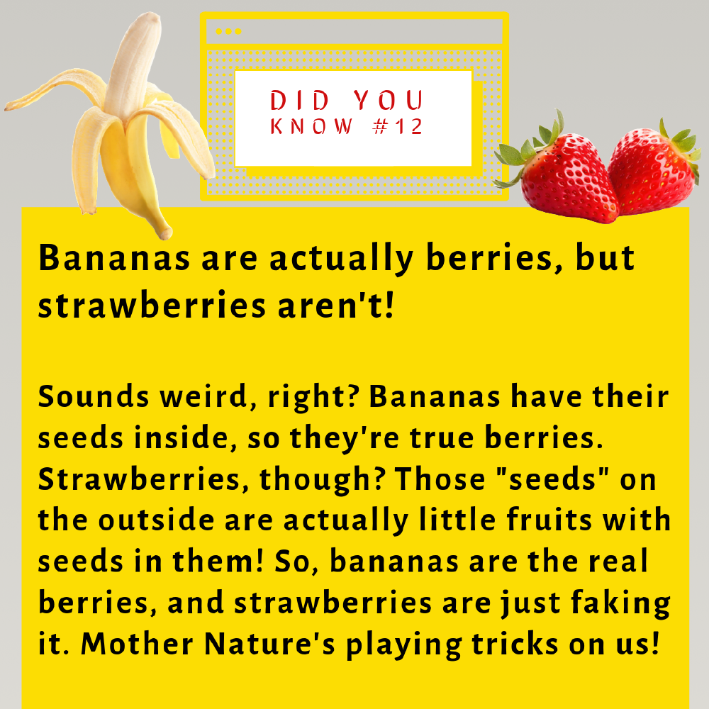 didyouknow12.png